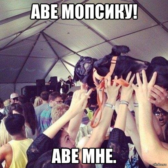   :)    .