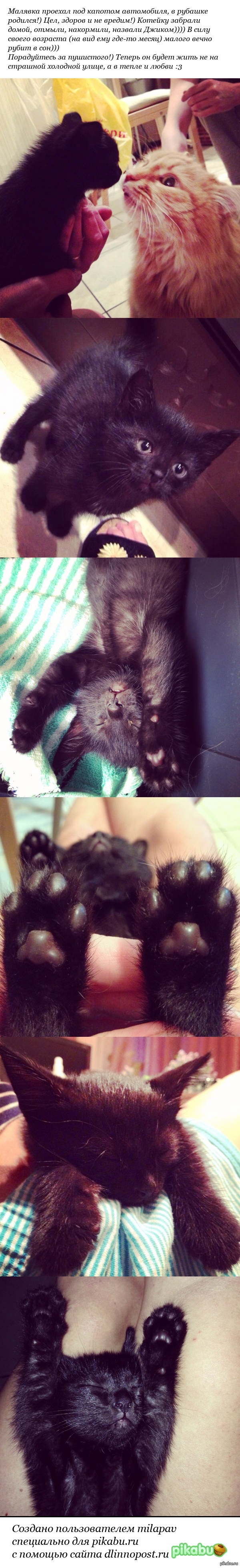 Обрел дом :)