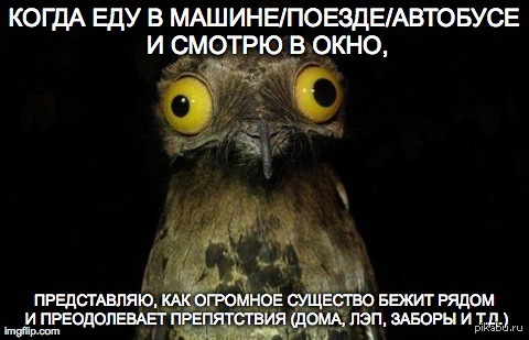 ������ ����� �� ����� potoo ���? �� �� ����