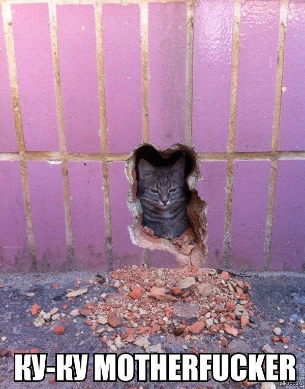 Surprise motherfucker