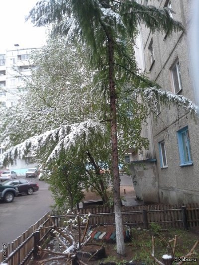 Вот такая вот "отличная" погода стояла в Чите после недели жаркой погоды