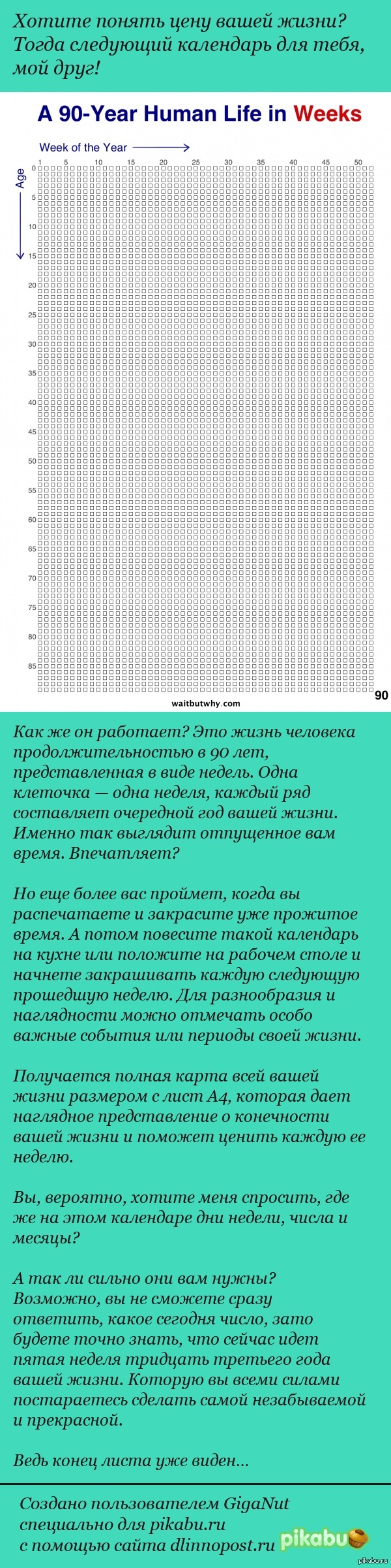 ����� �������� � ������������ ���������