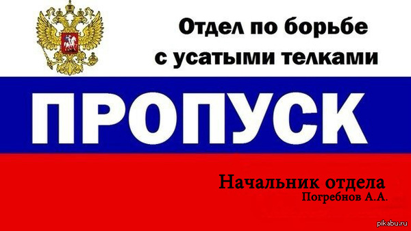 Отдел по борьбе с усатыми тёлками