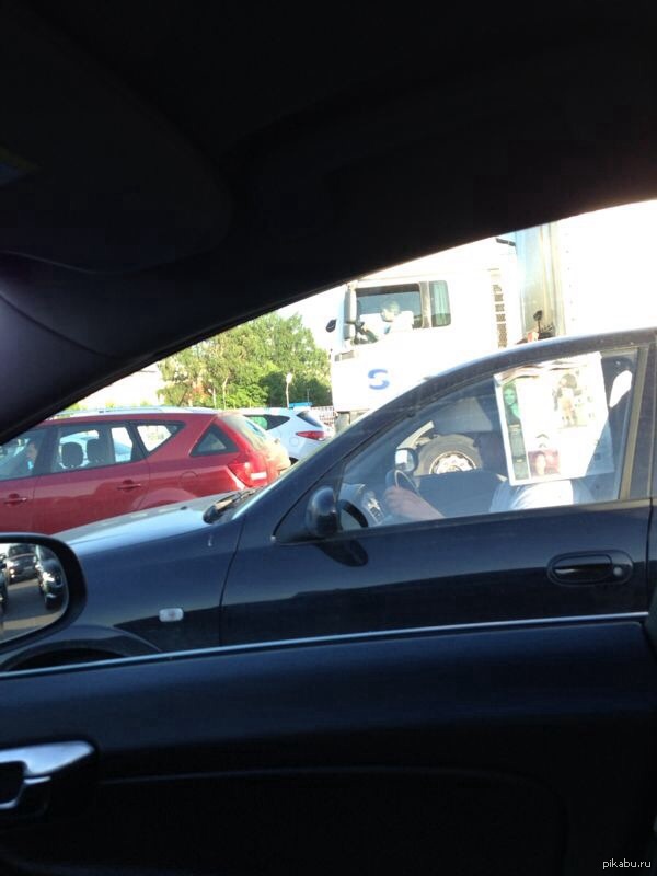 ������� ���������! ���� �� �����!..