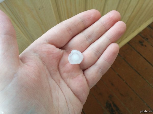 ��� ����� ����� �������� ���� ��������� ��������...