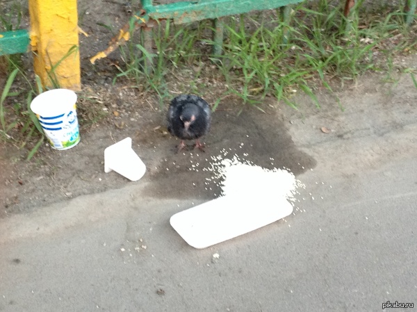     ,       )