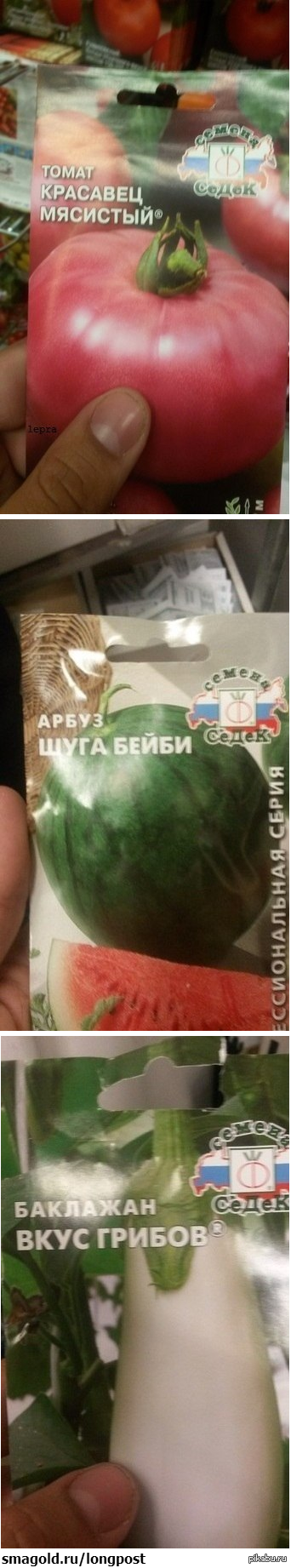 Мир растений. Неведомый и опасный)