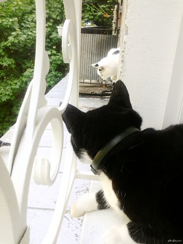 � ��� ��������� ����� ������.