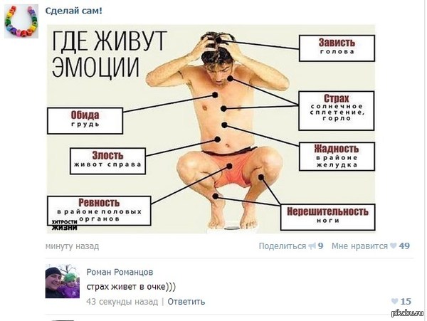 ����������� ��������