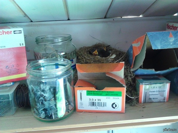 В честь пятницы: моё!