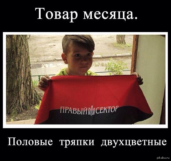 Правый сектор | Пикабу