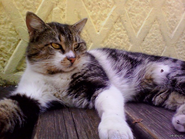 Не побоялся и познакомился х)