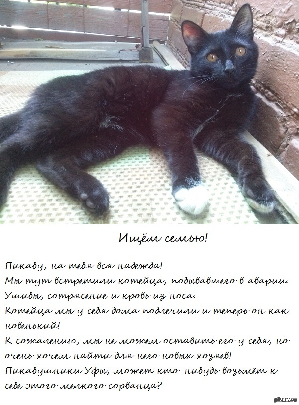 ������, �������� ����� ����� �����!