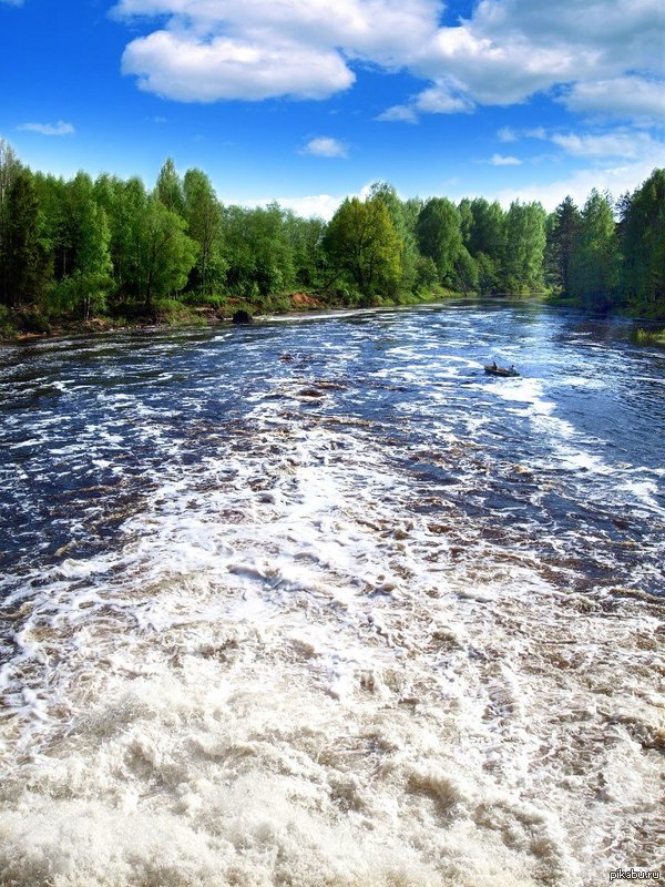 ������ ��, ��� ������ ����� ��������.