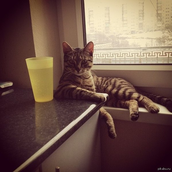 ������, ������� �����, ����������!