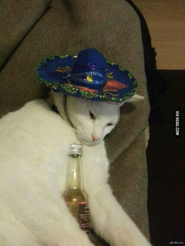 ������������ ���