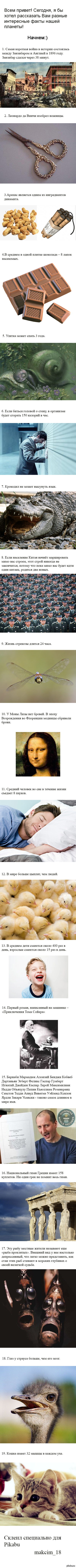 Понемногу обо всём. Подборка разных интересных фактов