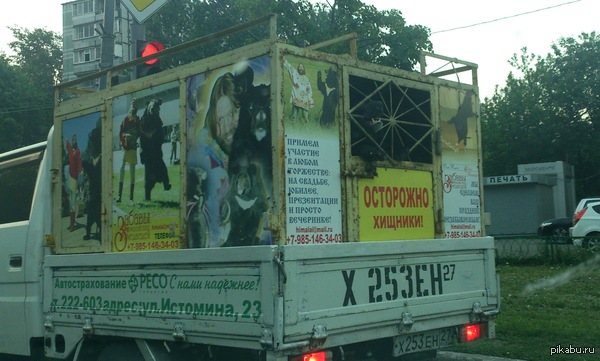 ����� ���� �� ��������