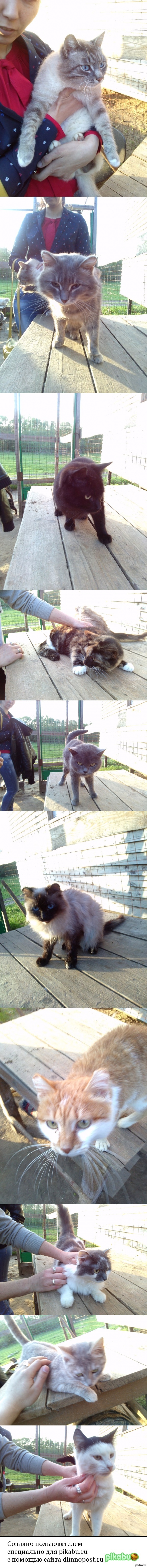 Обращение за помощью к пикабушникам Москвы и подмосковья