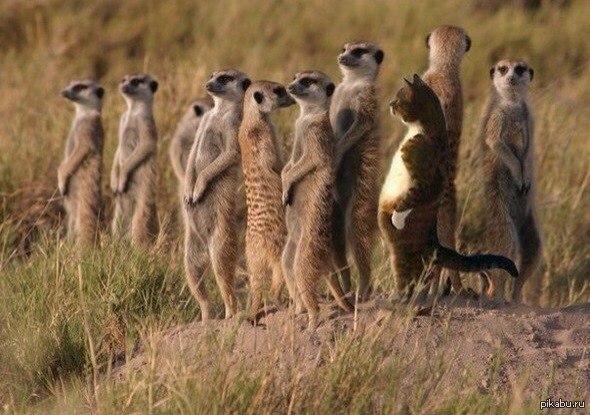 ظ� 5 ����..... �������� �� �������� ������ �� �����������.....