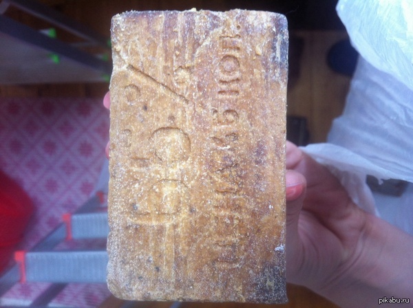 ������ ���� 1986 ����