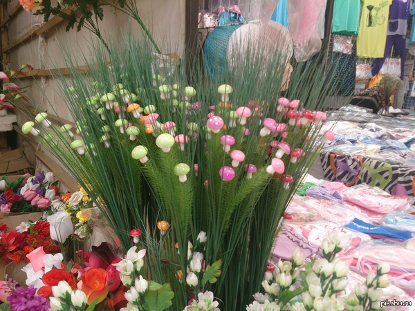 ������� ������