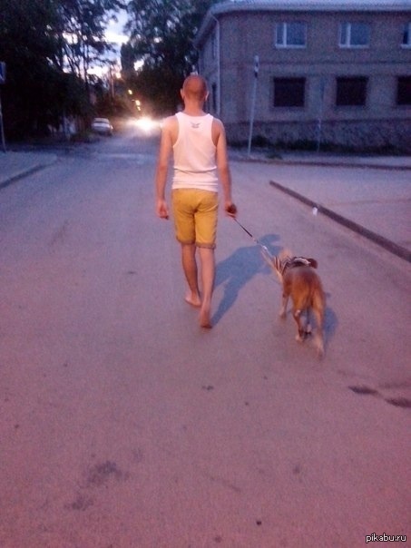 Парень идет босиком, а его тапки несет собака)