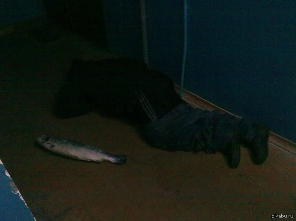 Party hard  -    ,   ? P.S.   .