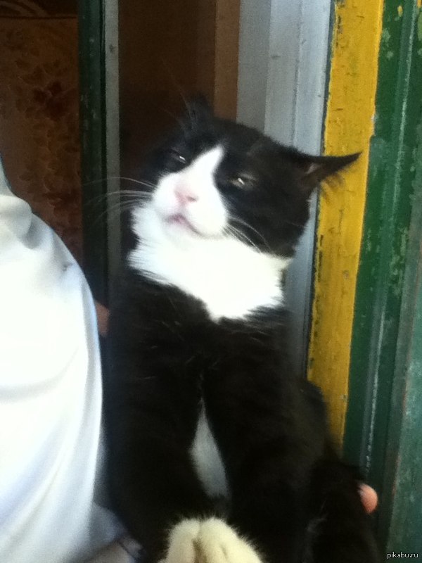 ��� ���, ����� �� ��� �� ���������))