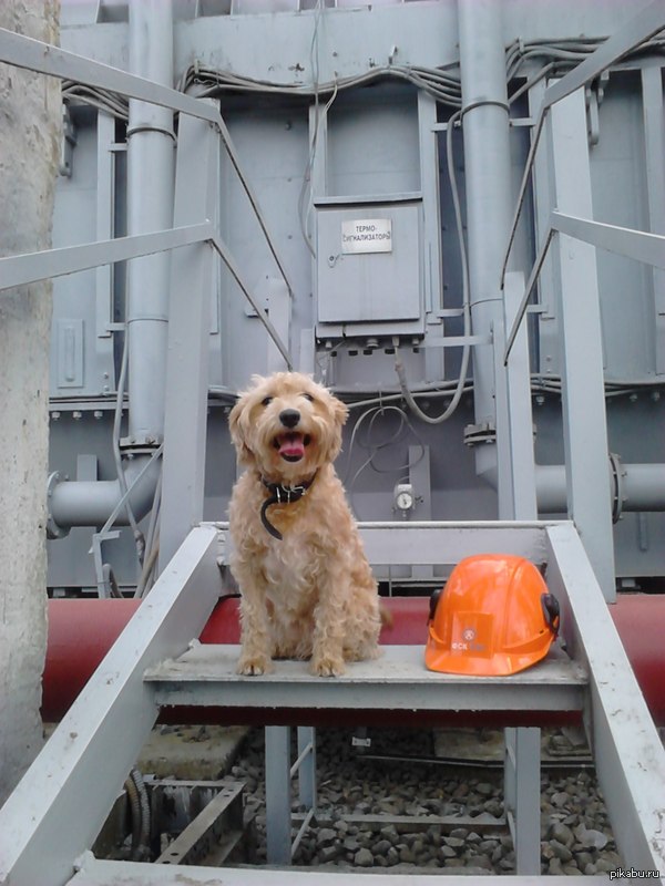 ϸ    750 : : -1, .&quot;&quot;   )))