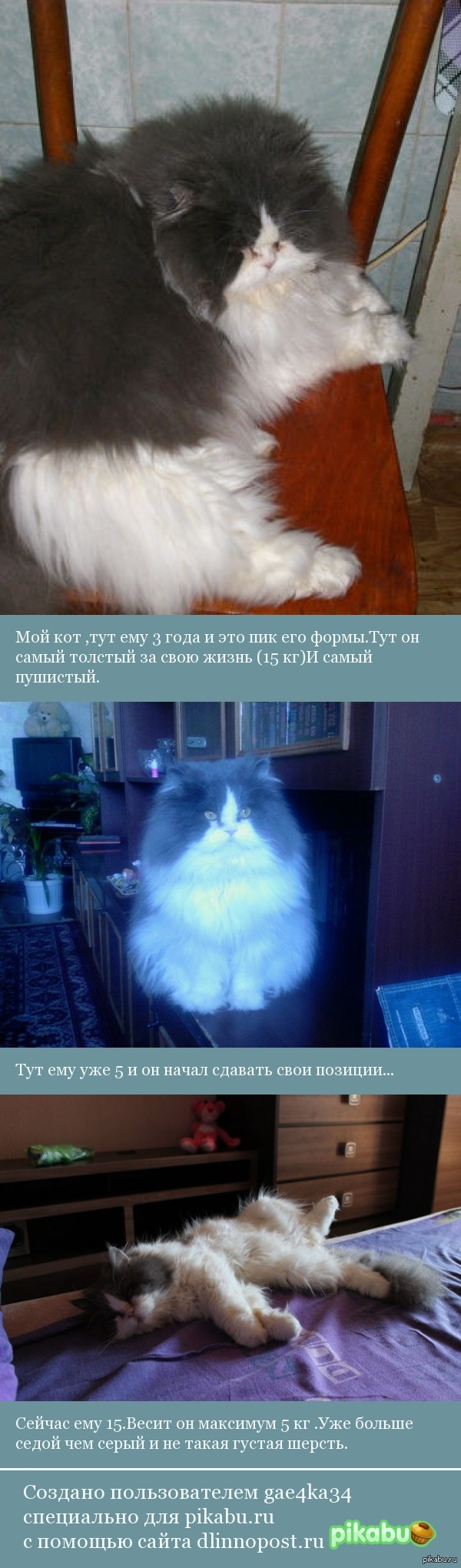 Ребята, порадуйтесь вместе с моим котом.Он шел к этому 15 лет .