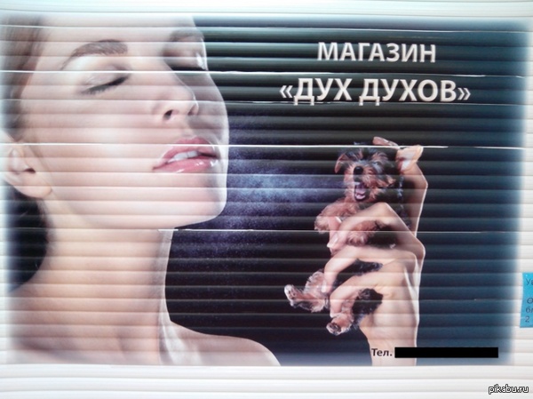 Большие оригиналы...)))