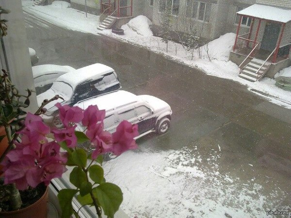 Сказал отцу, что в Тюмени холодно (+4), он прислал фото в ответ