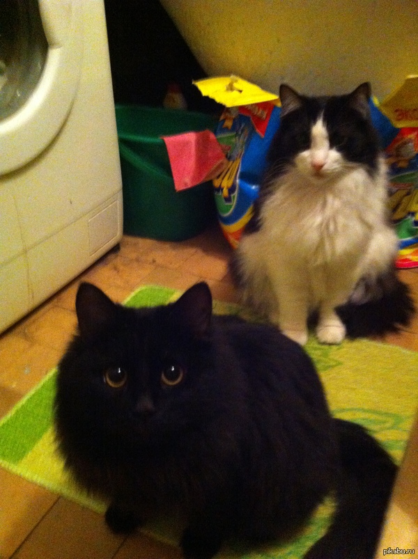 ��� ��������� ������� �������. � �� ������� ��������� ���� �����, ������� �������������.