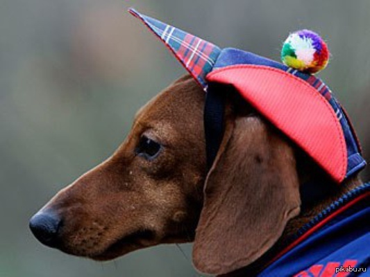 ��� ���, ��� ���� ���������. � ������� ����� ����!