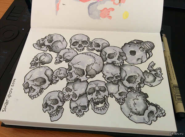 ��������