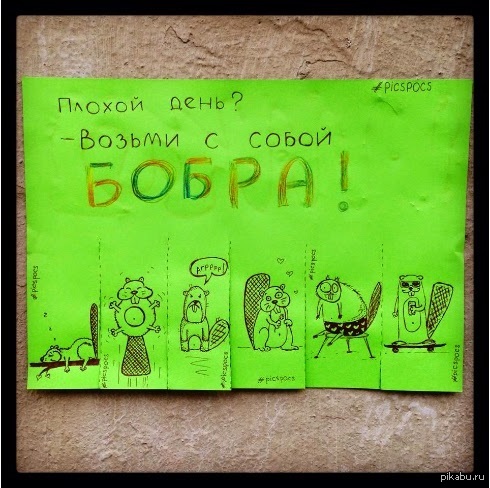 Всем бобра :D