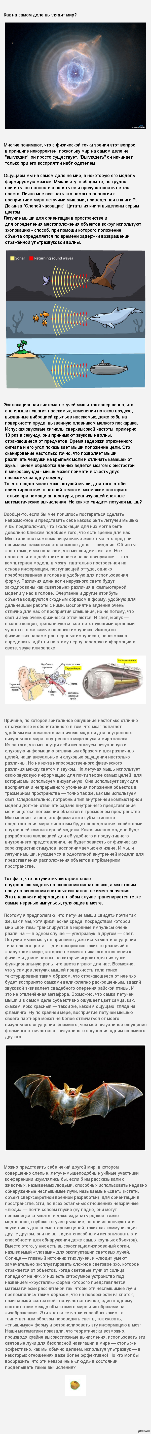 Как на самом деле выглядит мир?