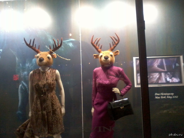 �� �� ��� ����