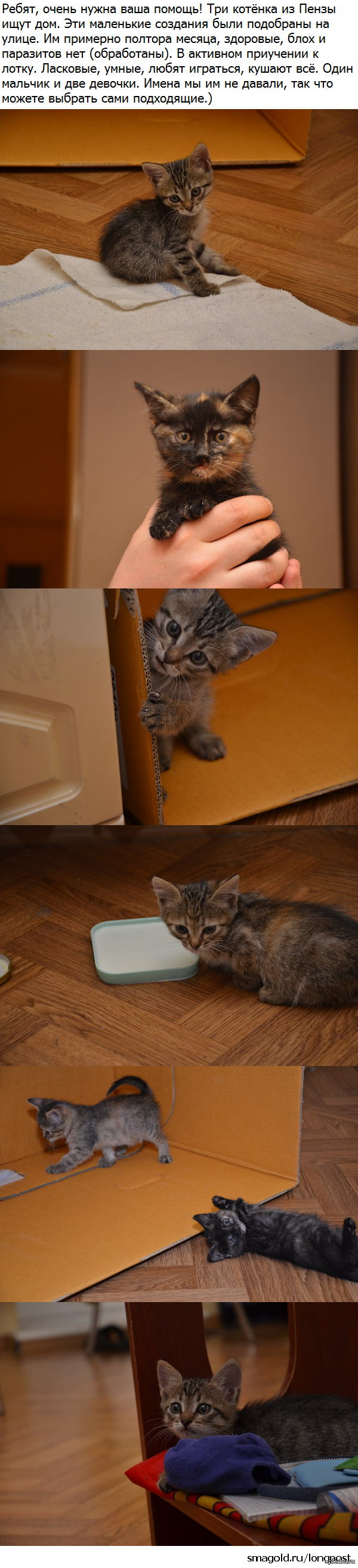 ������ ���� ������� � ���������� ������!