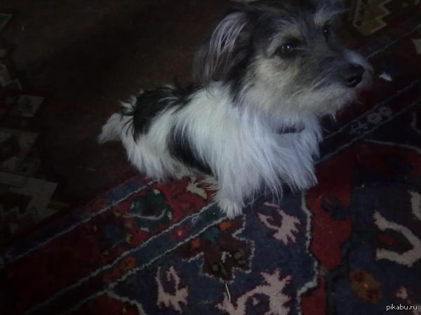 �������