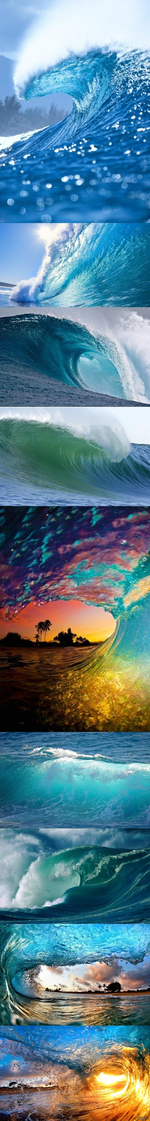 ������� �������