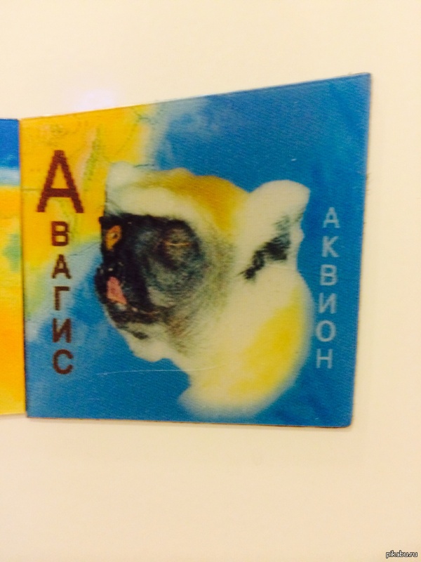 ��� ��������)))