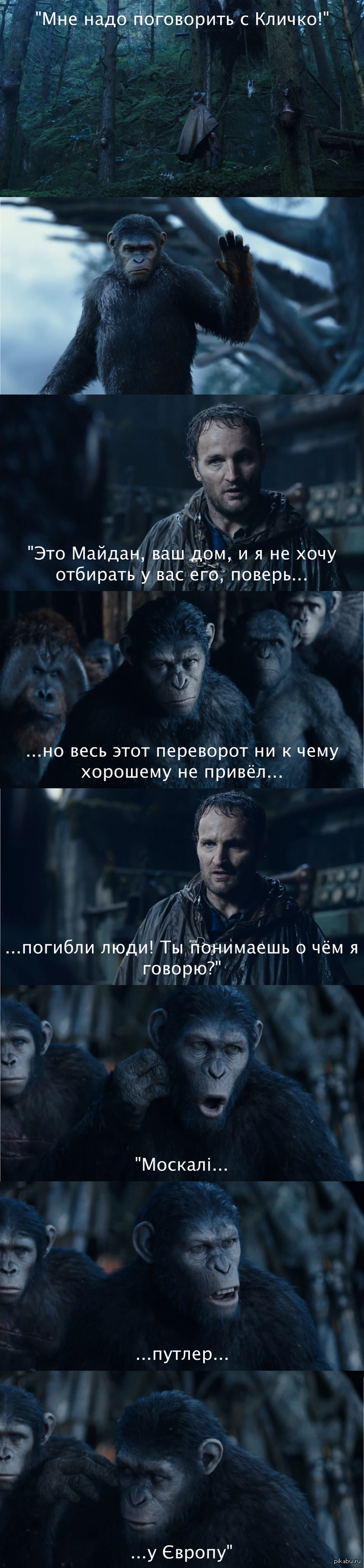 Обезьяны вместе сила!