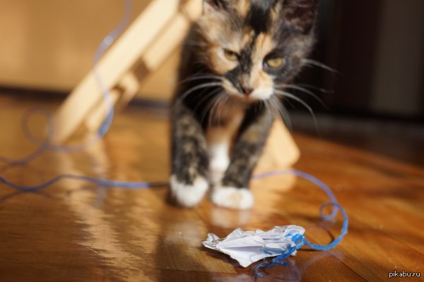 ��� ������� ������:)