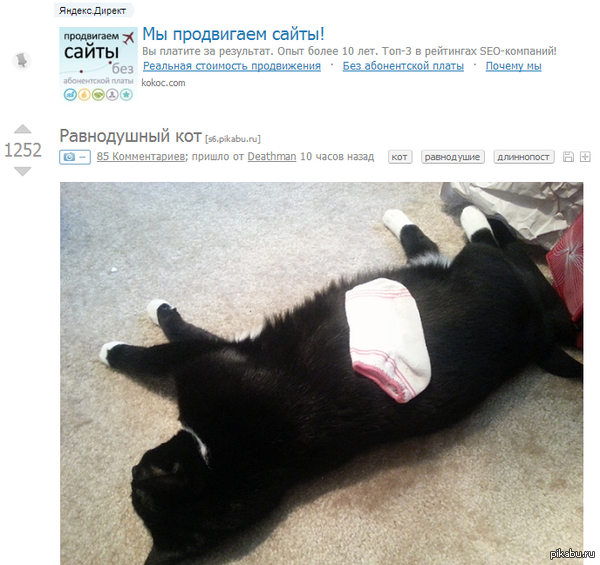 Кот и реклама