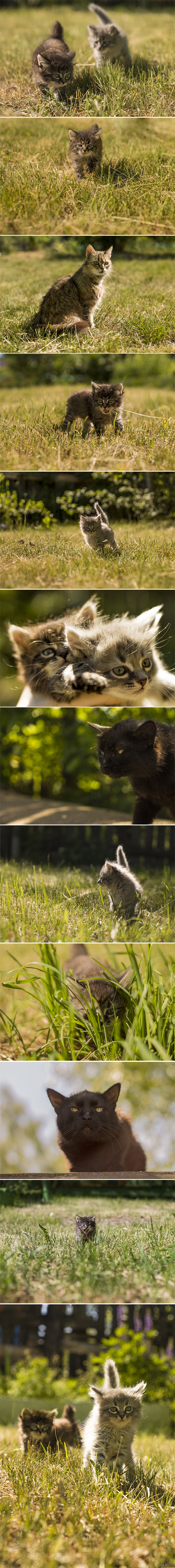 �������&amp;���� [����������]