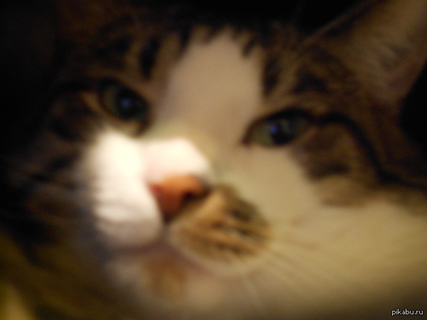 �������� ������ �����, ����� ���������� ������ ����