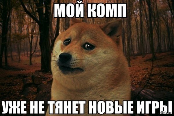 ����� ����