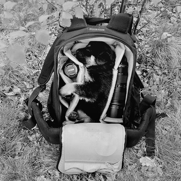 Все свое ношу с собой